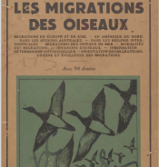 Les migrations Des Oiseux